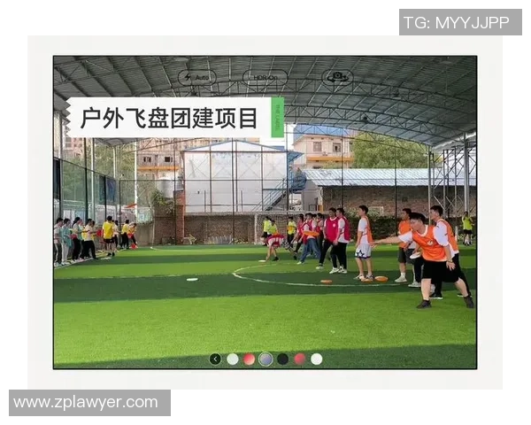 飞盘热潮下的成都飞盘队团队协作新模式探索与实践